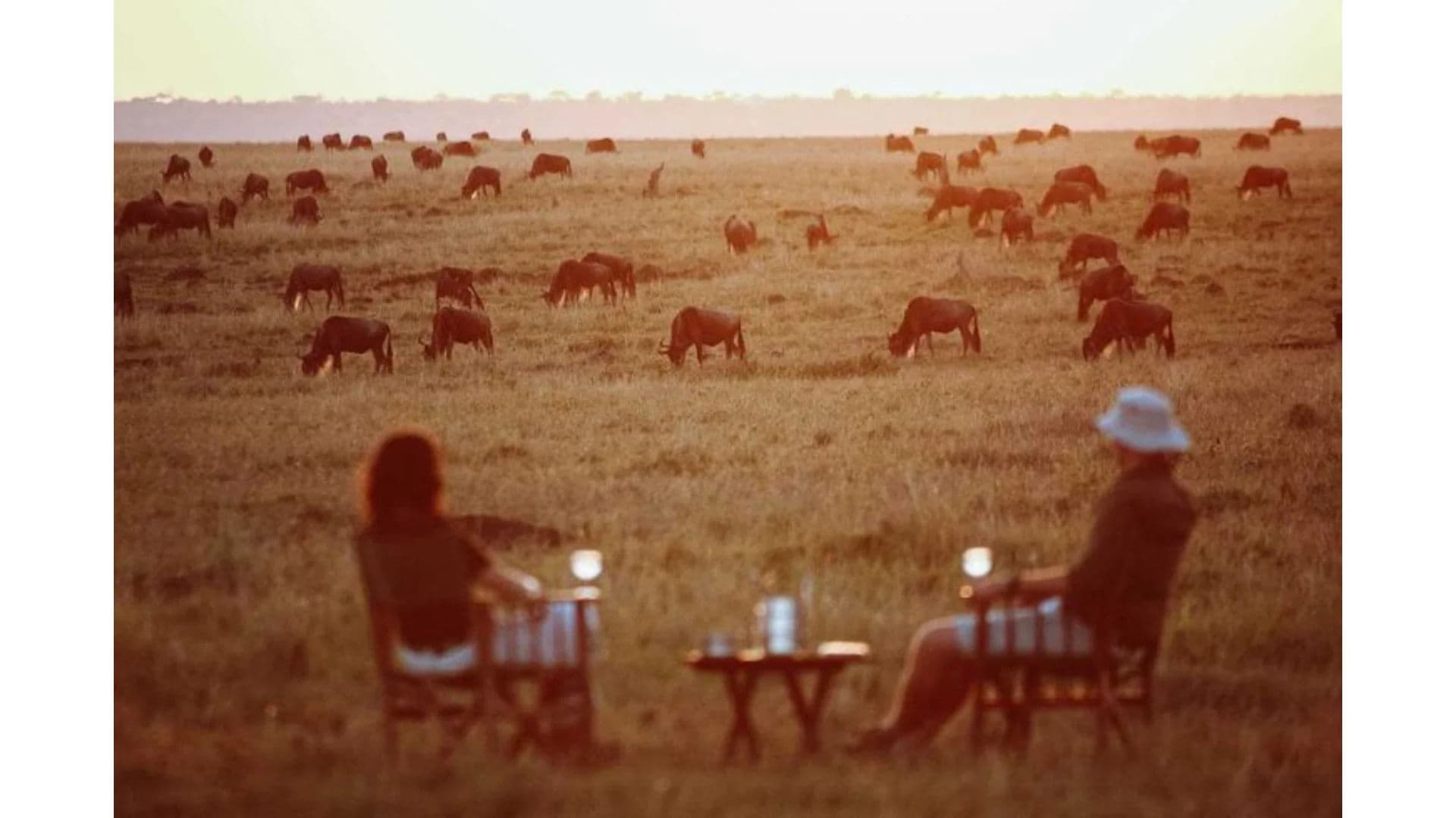 MASAI MARA SAFARI - MIGRATION EDITION
